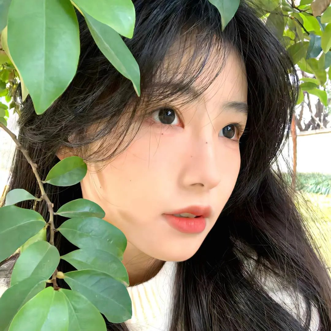 怨声鬼咒